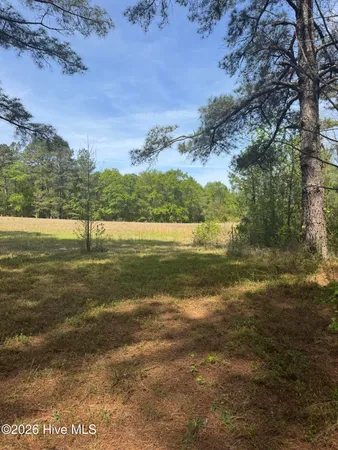 $480,000 | 490 Springhill Church Road, Hamlet, NC 28345