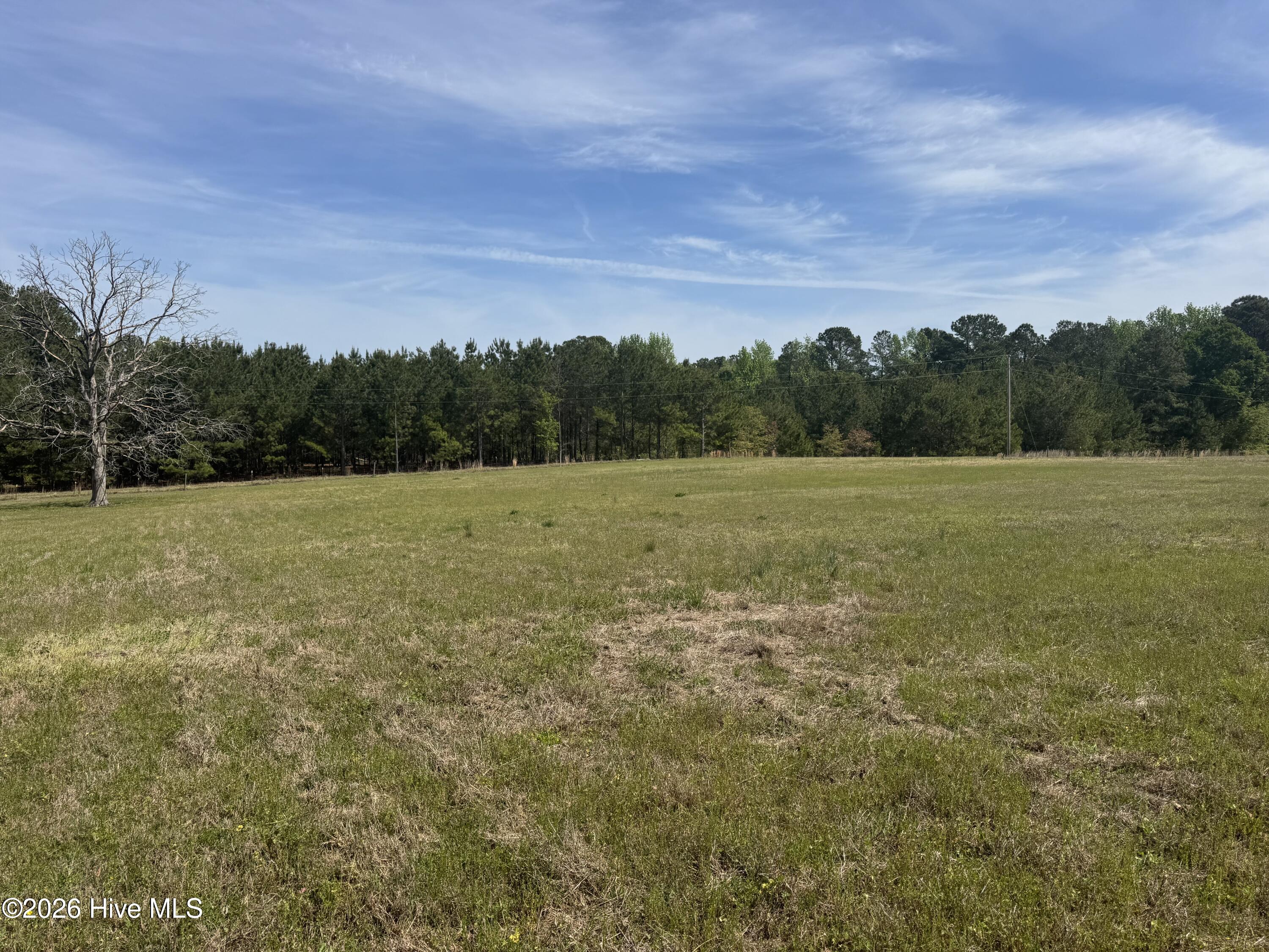 490 Springhill Church Road Hamlet, NC 28345 - Photo 34 of 63 IMG_0137