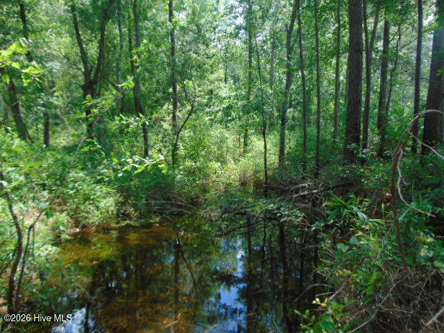 490 Springhill Church Road Hamlet, NC 28345 - Photo 4 of 63 20211125005616890726000000-o