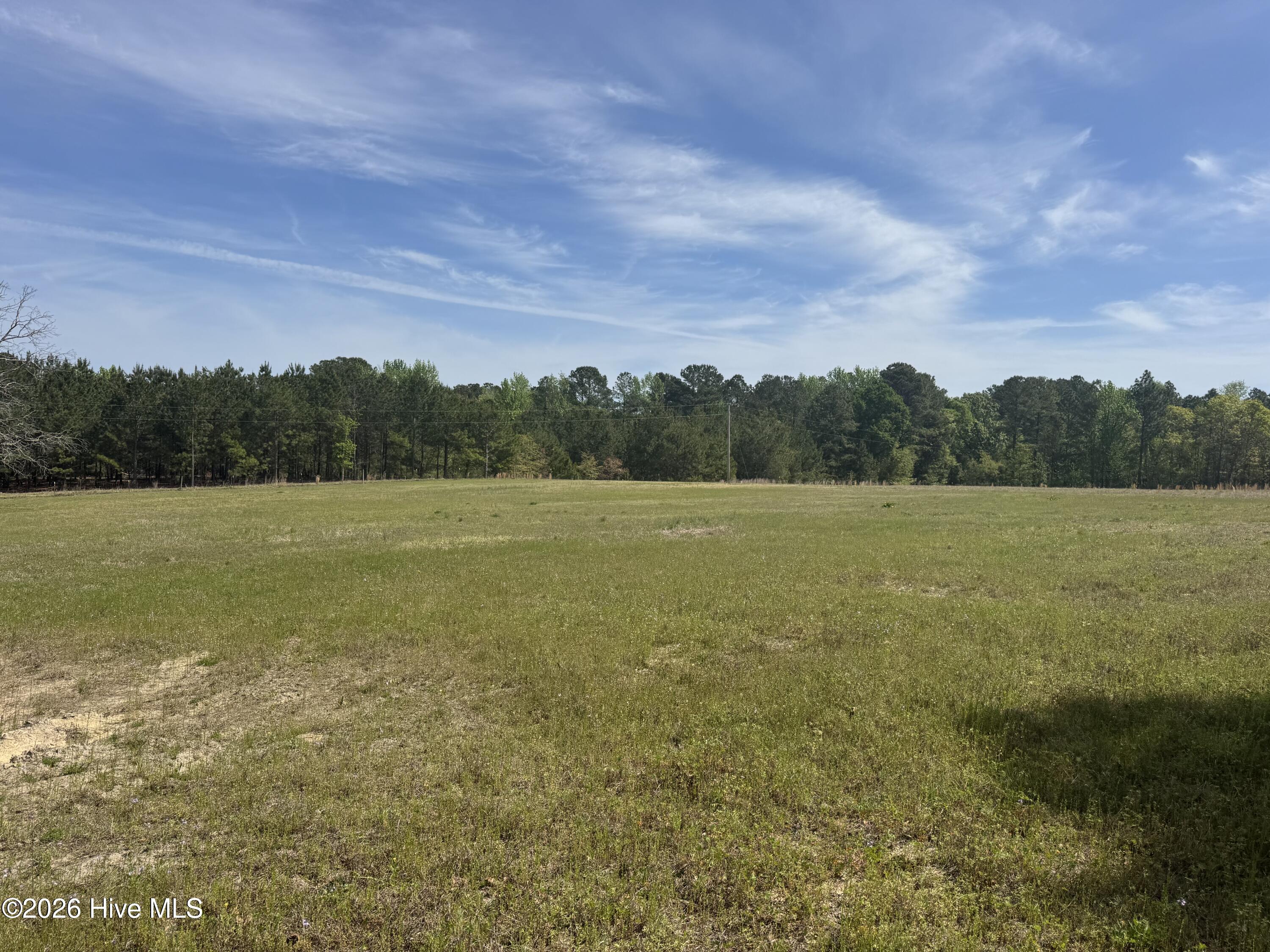 490 Springhill Church Road Hamlet, NC 28345 - Photo 53 of 72 IMG_0134