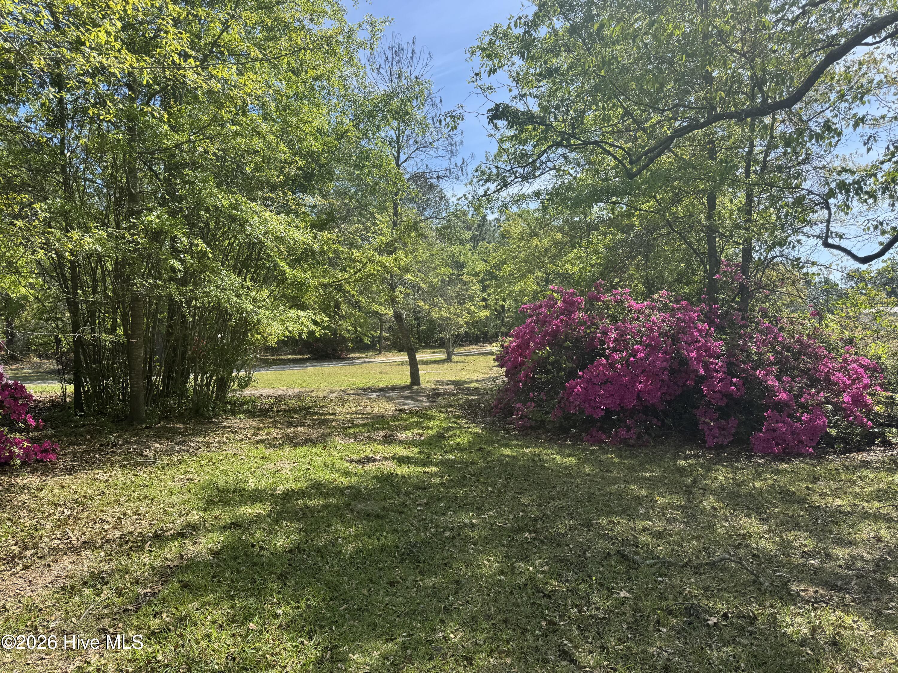 490 Springhill Church Road Hamlet, NC 28345 - Photo 59 of 63 IMG_0103