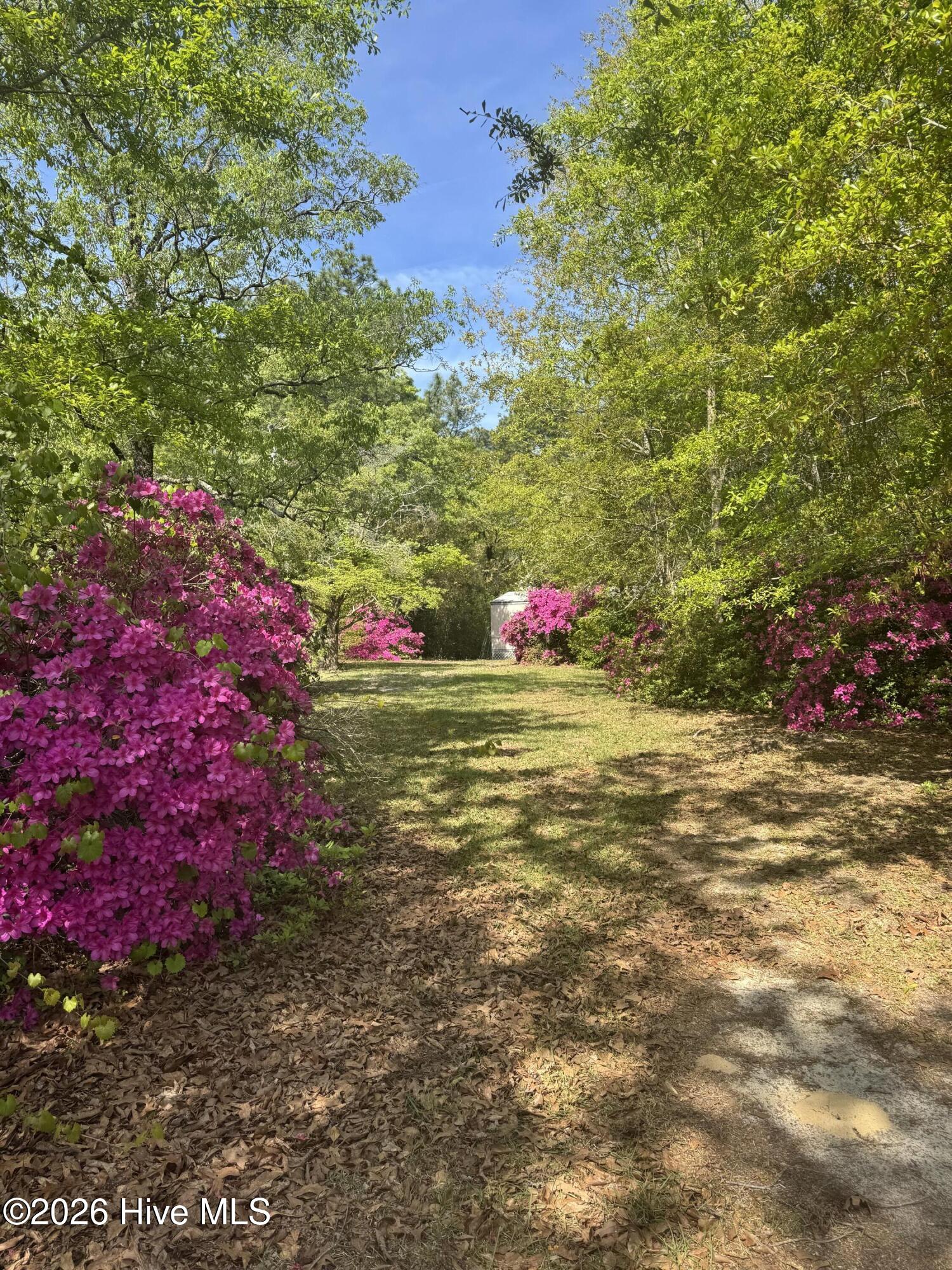 490 Springhill Church Road Hamlet, NC 28345 - Photo 60 of 63 IMG_0100