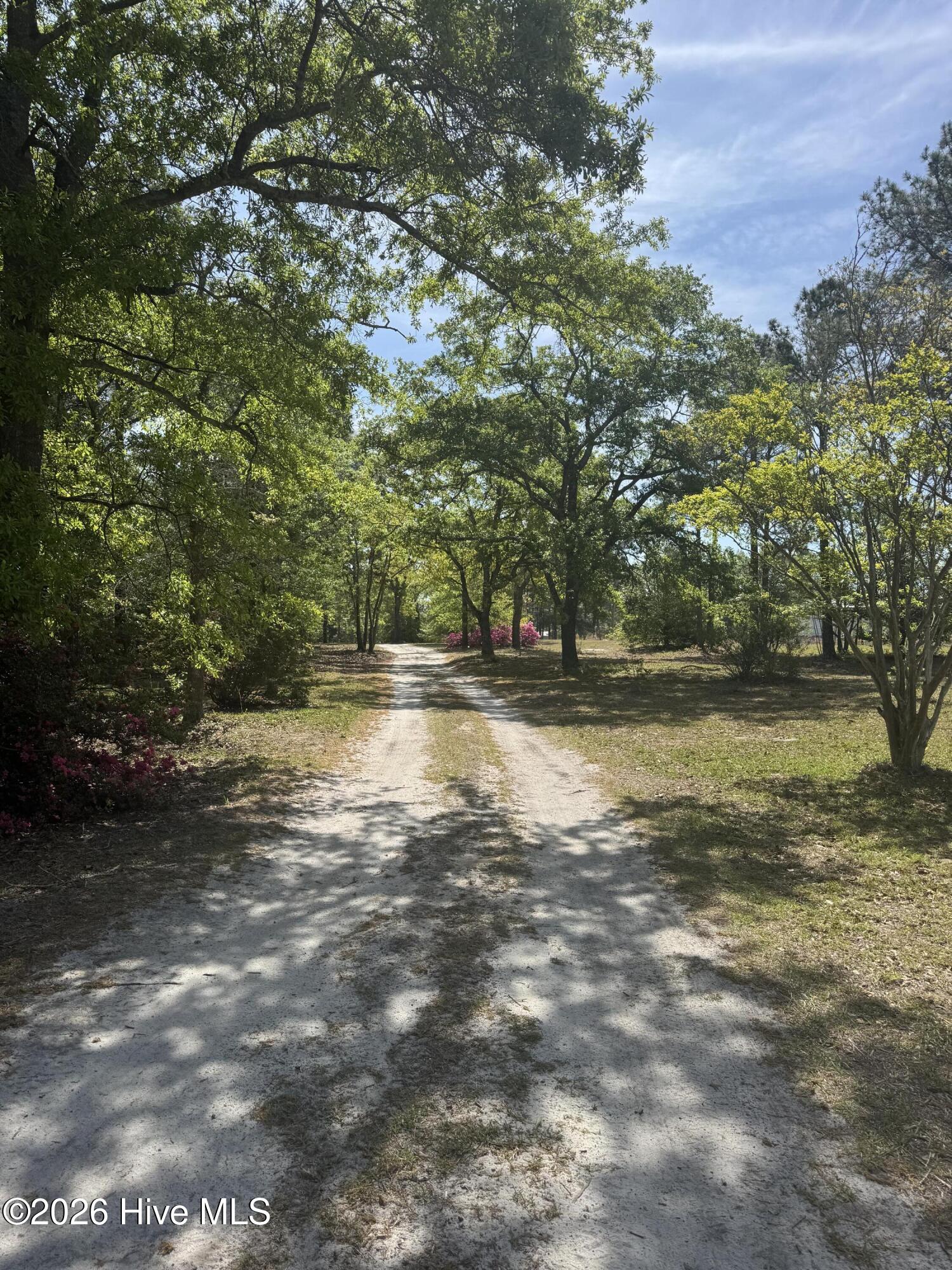 490 Springhill Church Road Hamlet, NC 28345 - Photo 62 of 63 IMG_0098