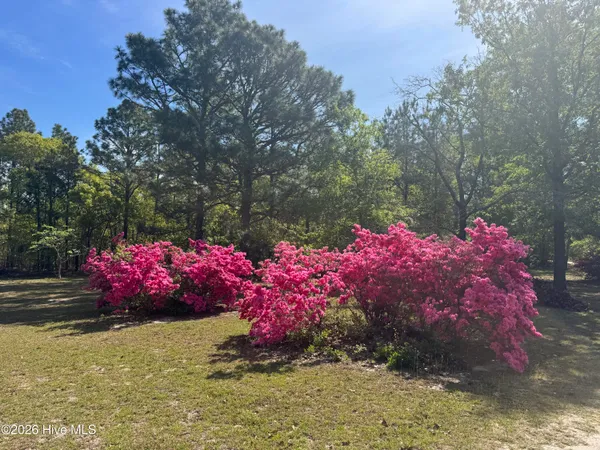 $480,000 | 490 Springhill Church Road, Hamlet, NC 28345