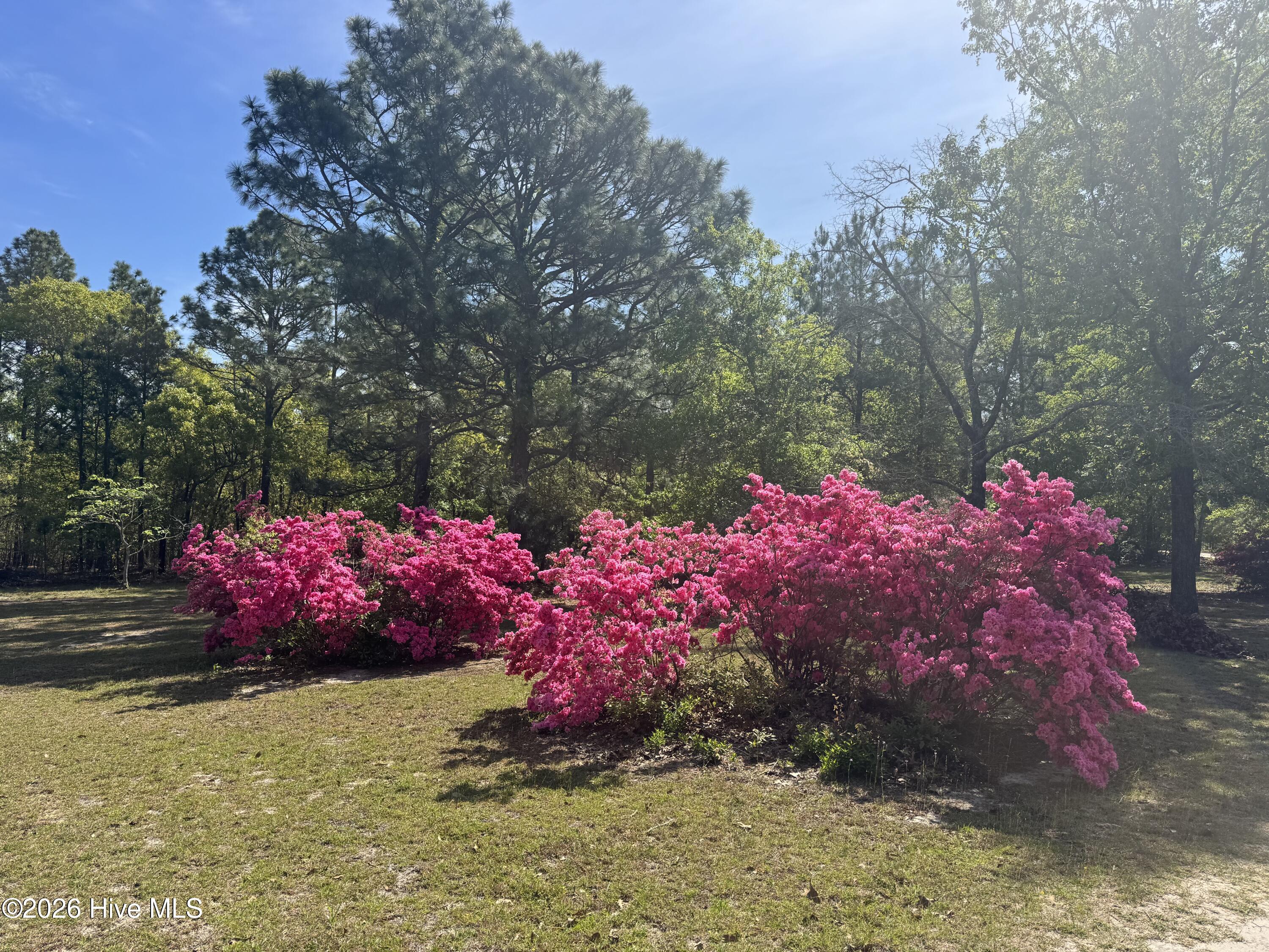 490 Springhill Church Road Hamlet, NC 28345 - Photo 63 of 63 IMG_0095