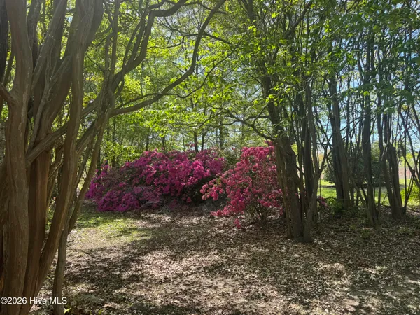 $480,000 | 490 Springhill Church Road, Hamlet, NC 28345