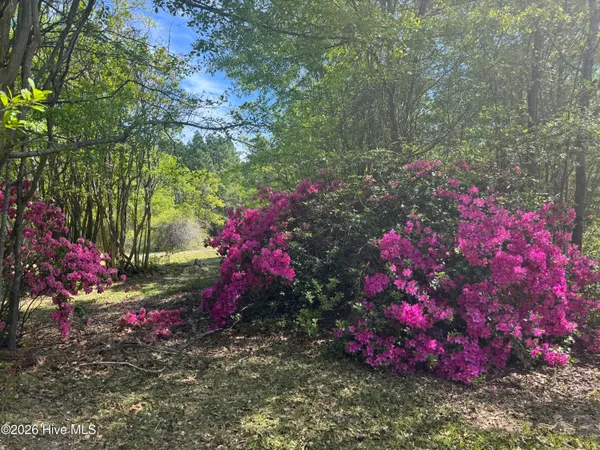 $480,000 | 490 Springhill Church Road, Hamlet, NC 28345