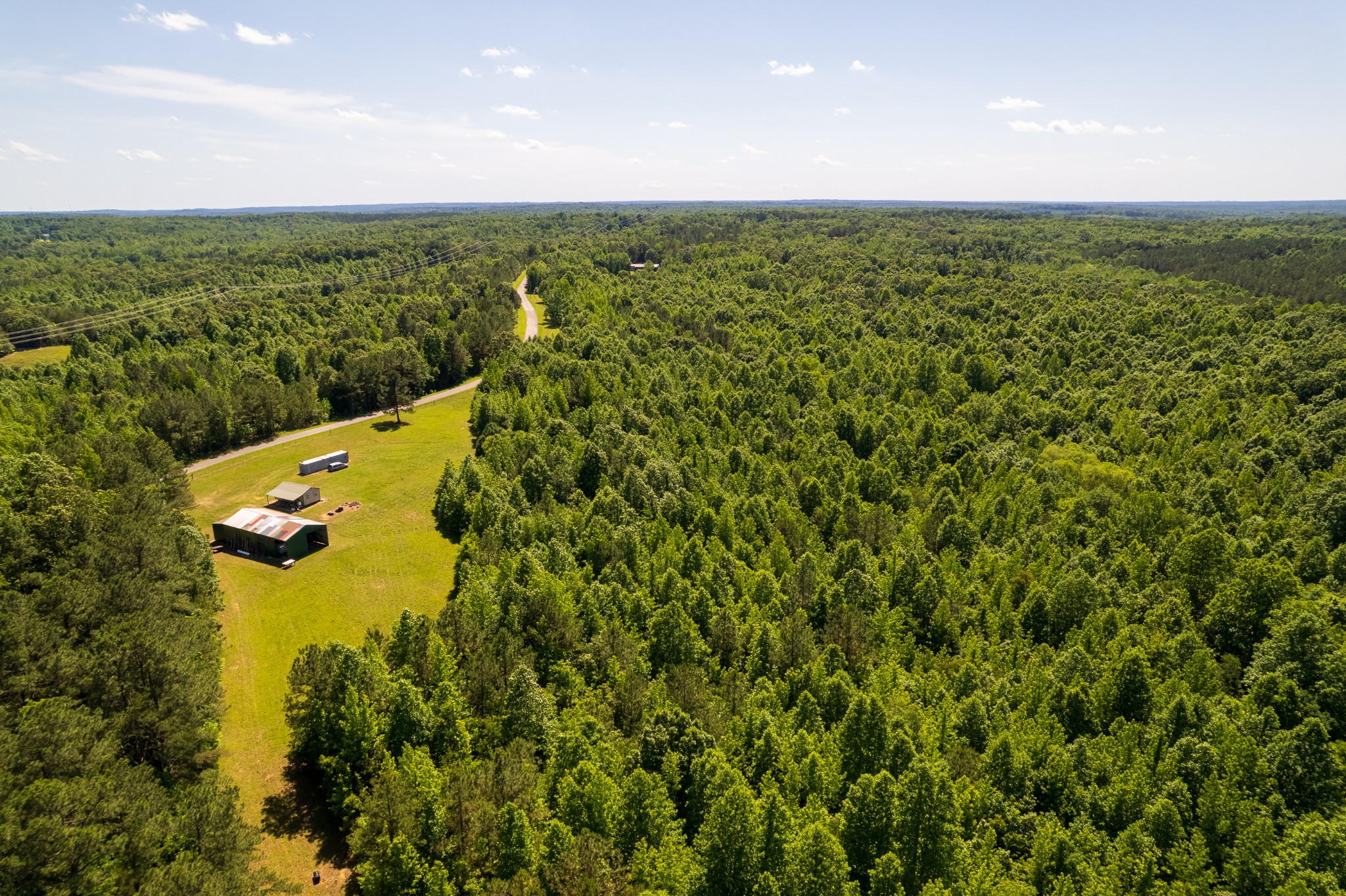 0 Pearson Road Cedar Grove, TN 38321 - Photo 2 of 21