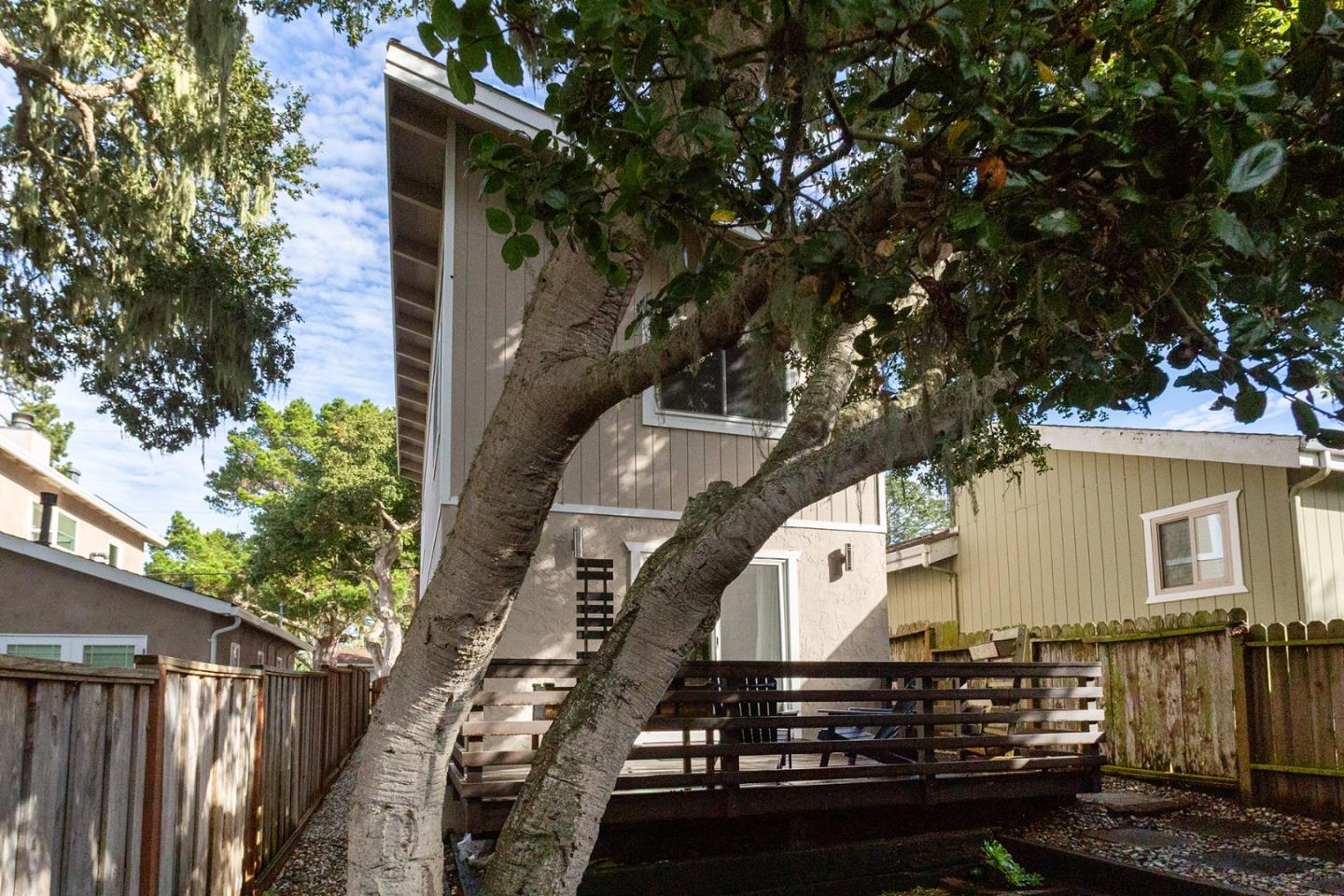 779 Alice Street Monterey, CA 93940 - Photo 24 of 27 a view of a large building with large tree