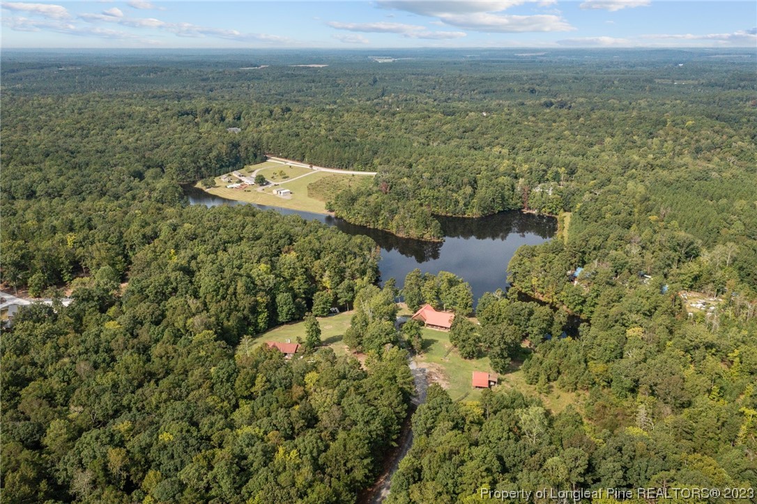 302 Pickard Road Sanford, NC 27330 - Photo 7 of 44 Gallery Image 7