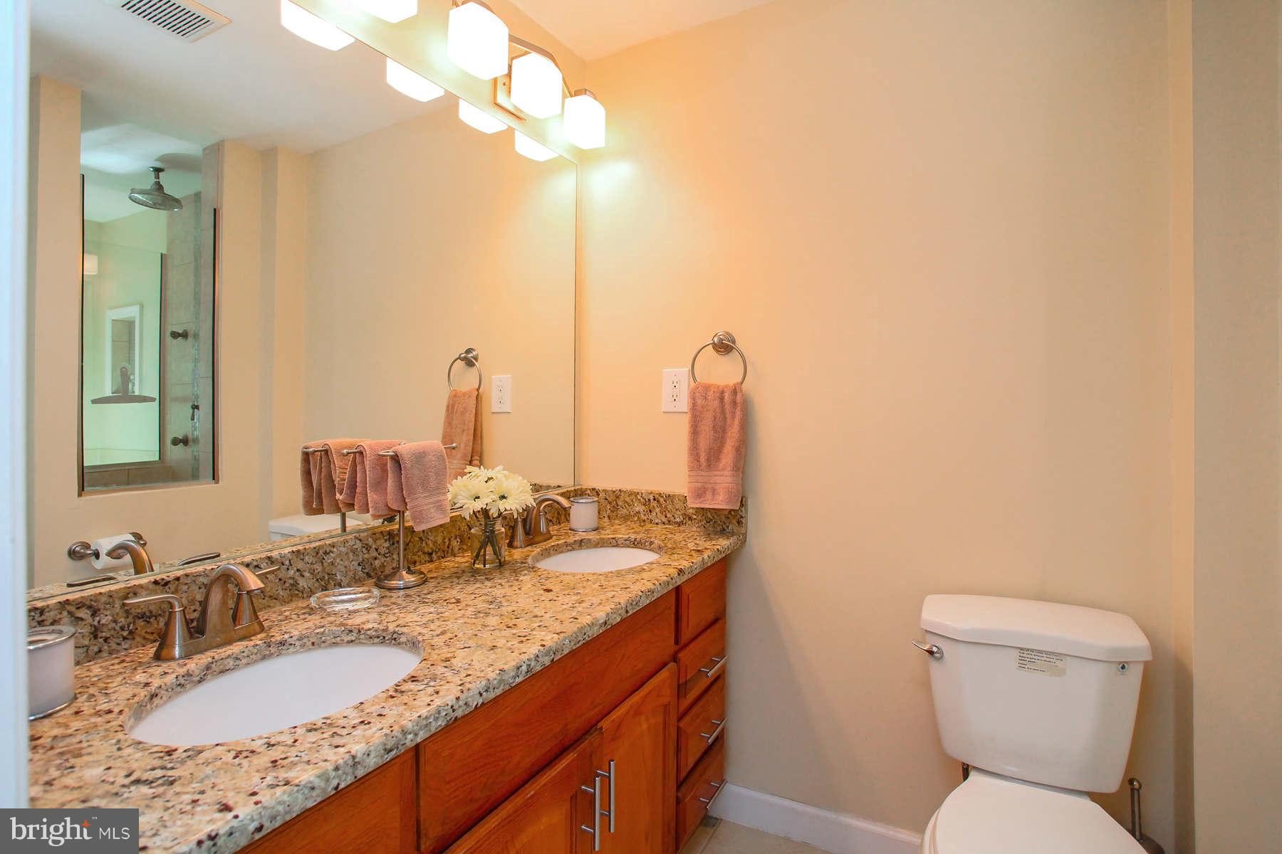 233 Manvell Road Southeast Vienna, VA 22180 - Photo 14 of 28 Bath (Master)
