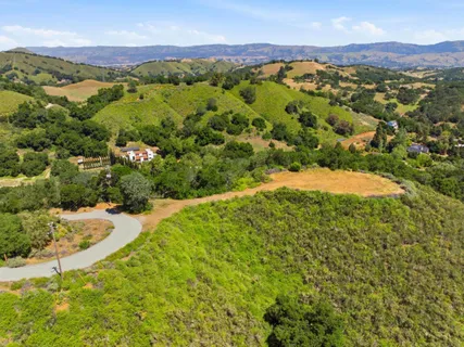 a view of a lush green hillside and houses