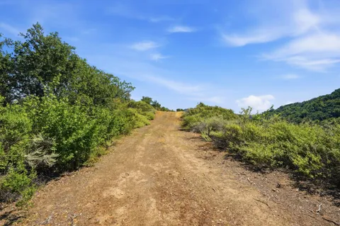 a view of a road with a yard