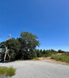 a view of a field with a tree in the background