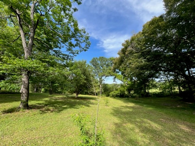 1043 Blue Ridge Lane McComb, MS 39648 - Photo 3 of 29 Photo 3