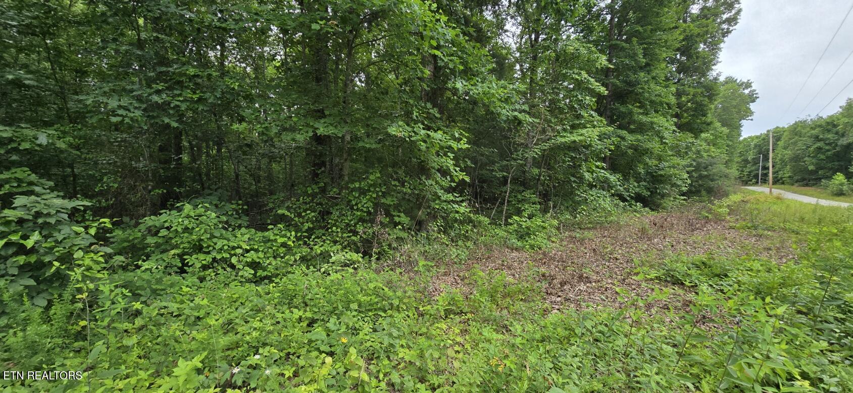 Lot 48-49 Bear Creek Road Oneida, TN 37841 - Photo 6 of 16 20260612_143408