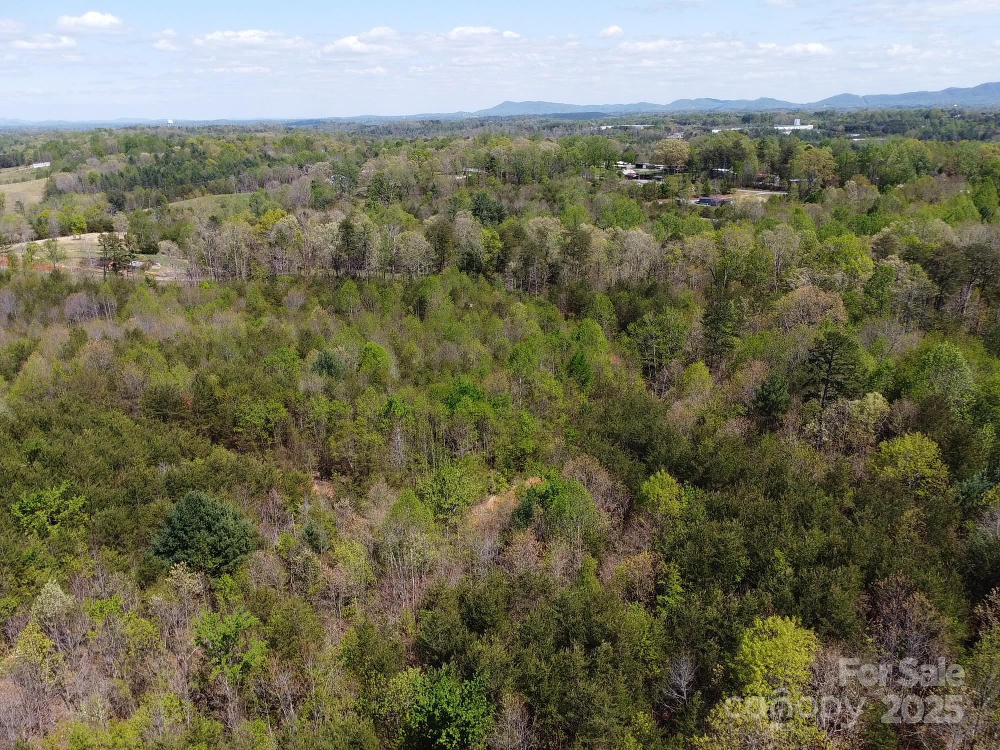 0 Snowhill Church Road Morganton, NC 28655 - Photo 13 of 40