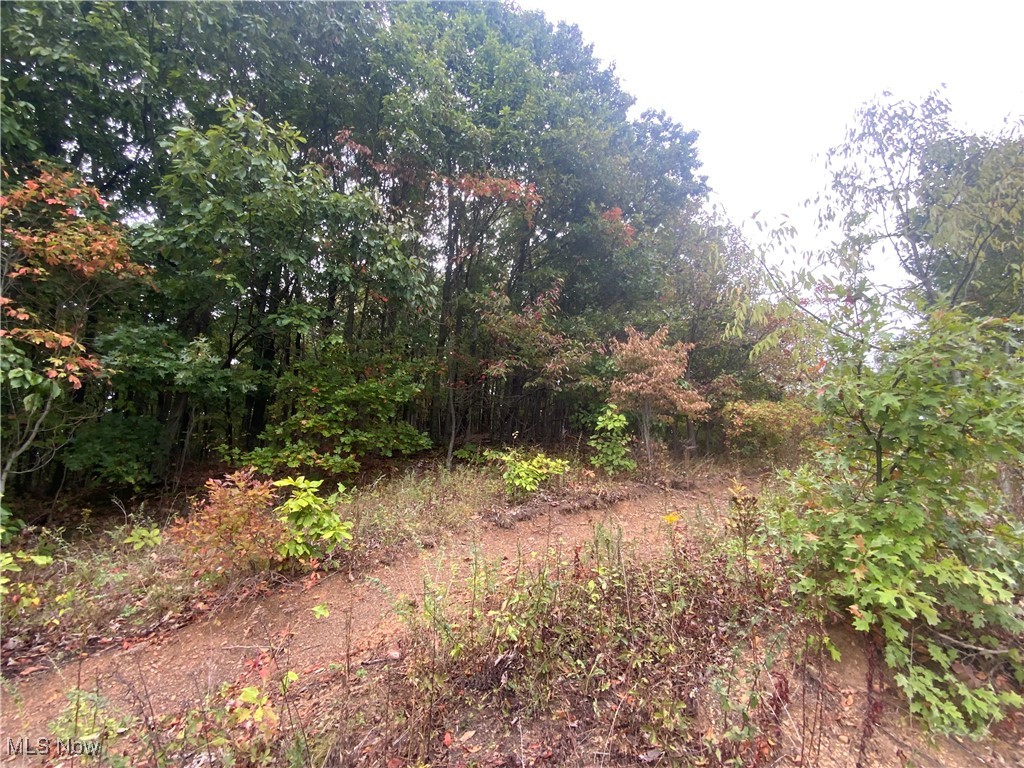 Taylor Road Dennison, OH 44621 - Photo 21 of 27 View of local wilderness