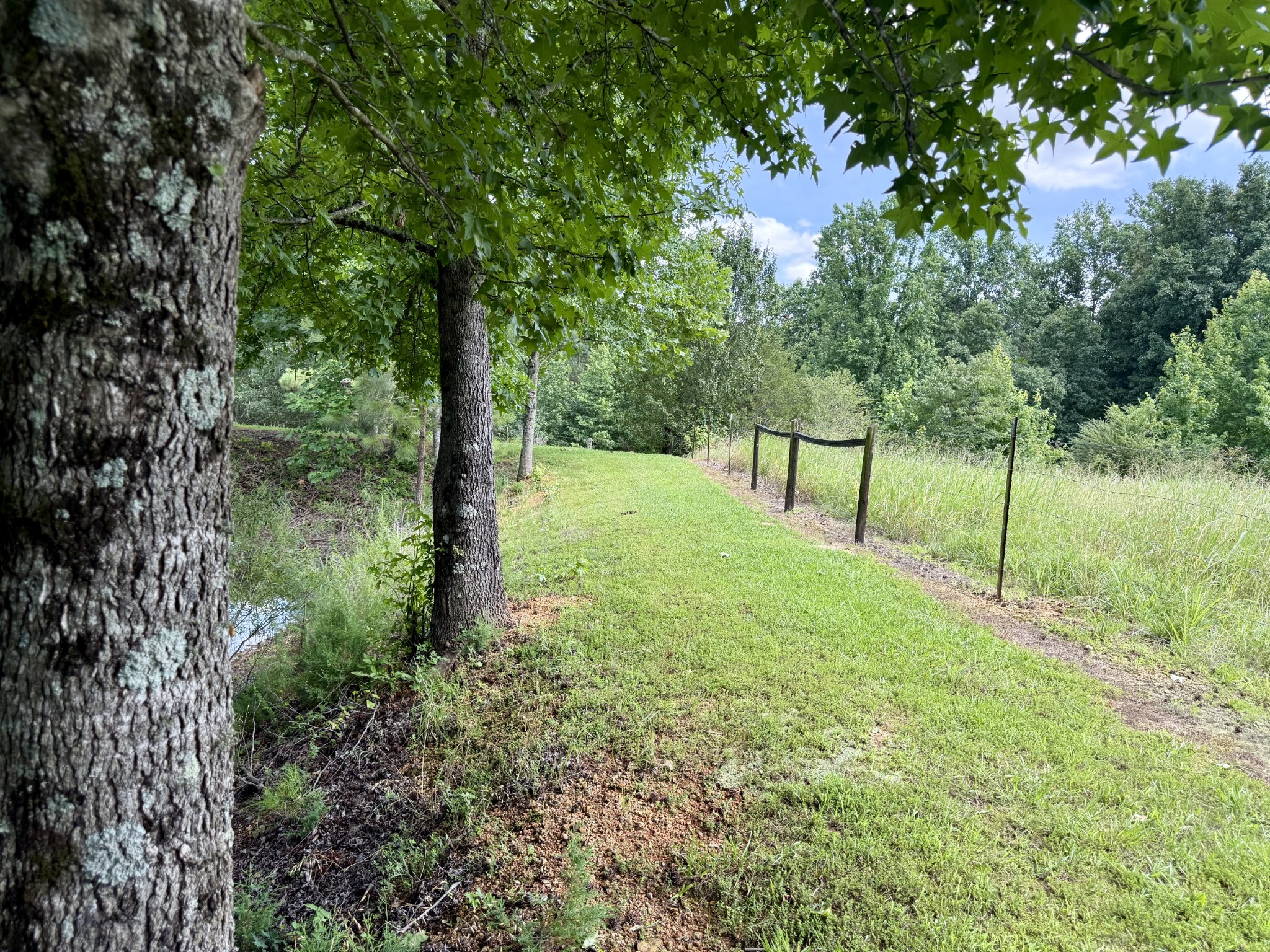 59 Hardin Loop Westpoint, TN 38486 - Photo 43 of 74