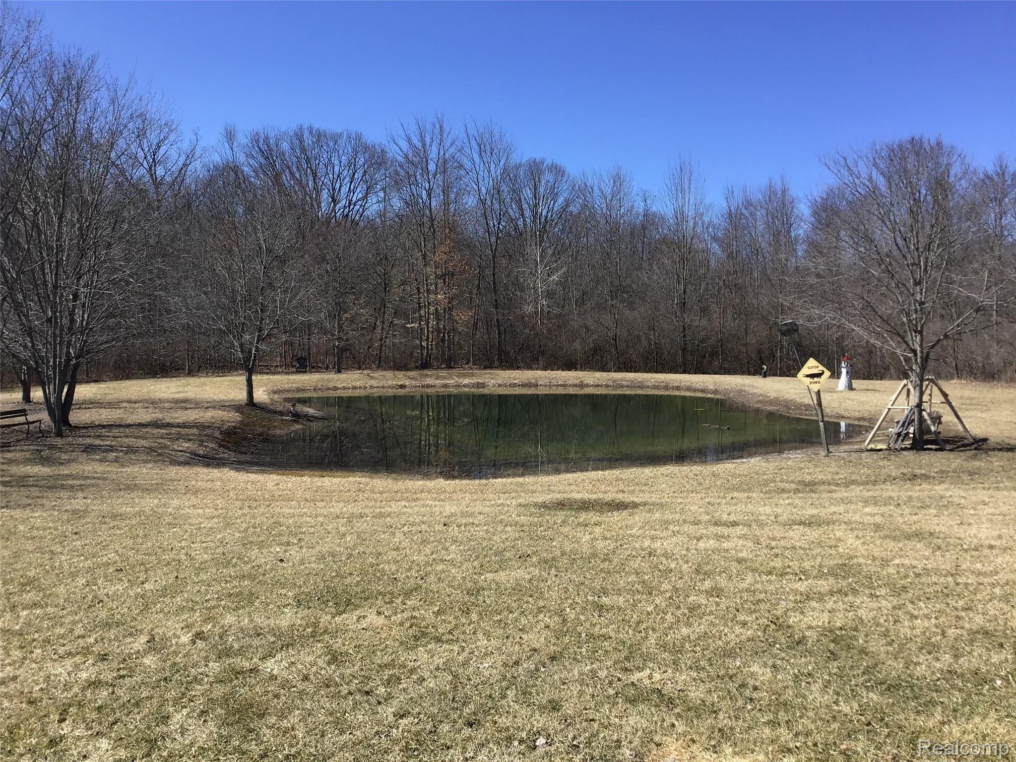 259 Mayer Road Goodells, MI 48027 - Photo 33 of 41 15.jpeg