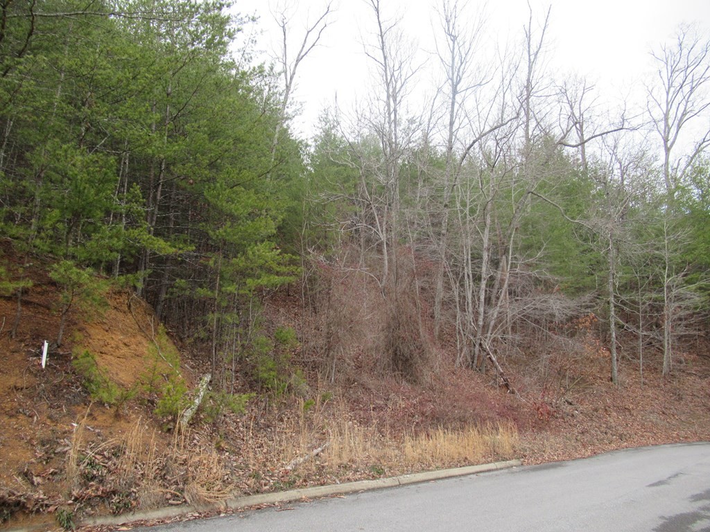 156 Bear Valley Road Sevierville, TN 37876 - Photo 12 of 15