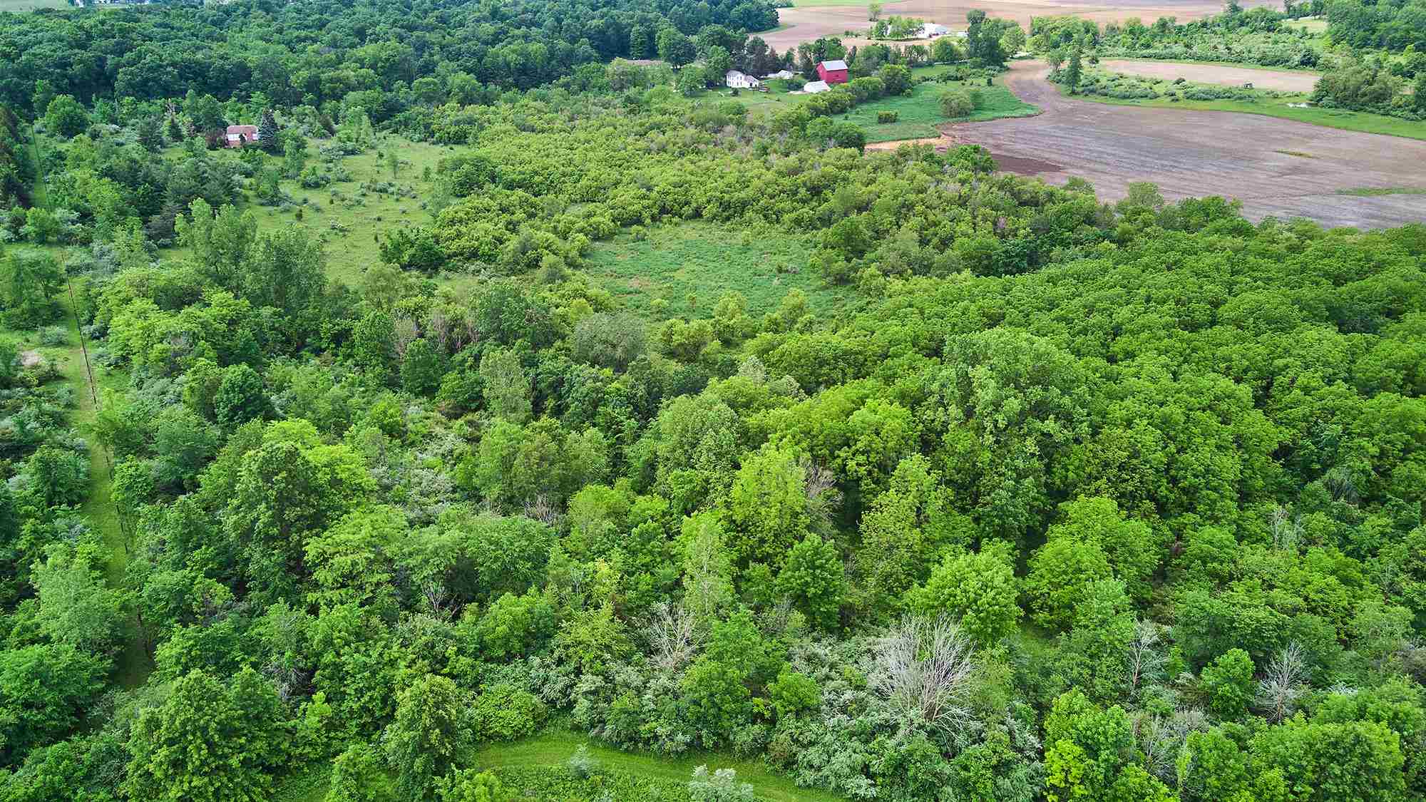 7909 Hollopeter Road Leo, IN 46765 - Photo 12 of 36