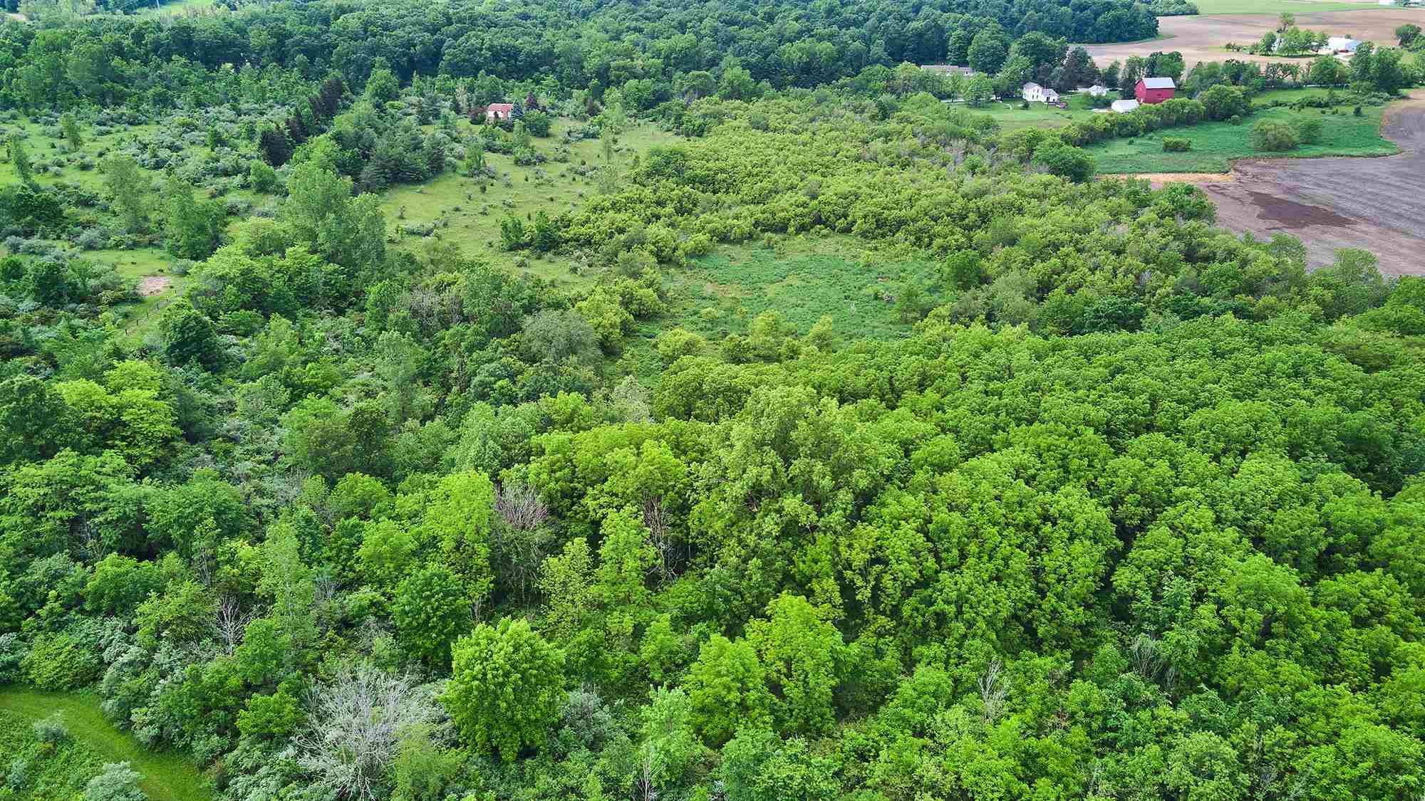 7909 Hollopeter Road Leo, IN 46765 - Photo 13 of 36