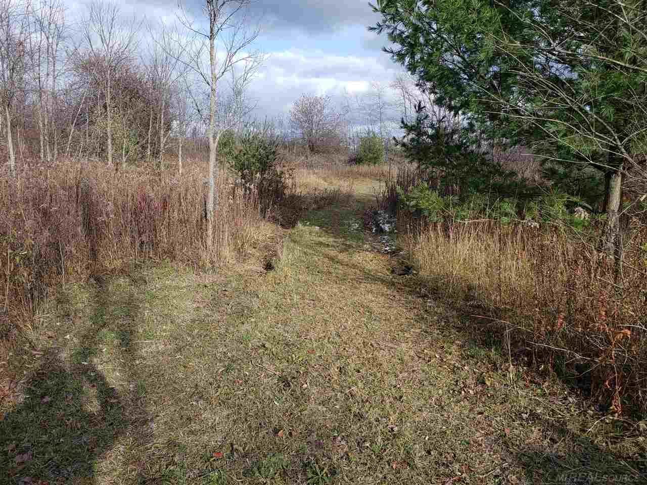 Vl Wixson Road Croswell, MI 48422 - Photo 2 of 3