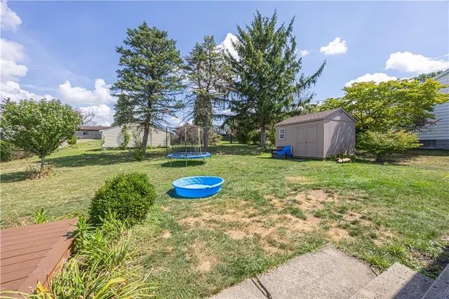 a view of a backyard with plants and trees