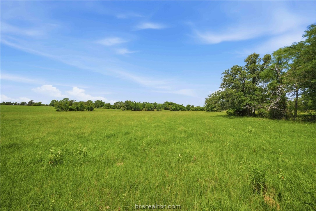 1 Holly Cemetery Road Franklin, TX 77856 - Photo 5 of 8