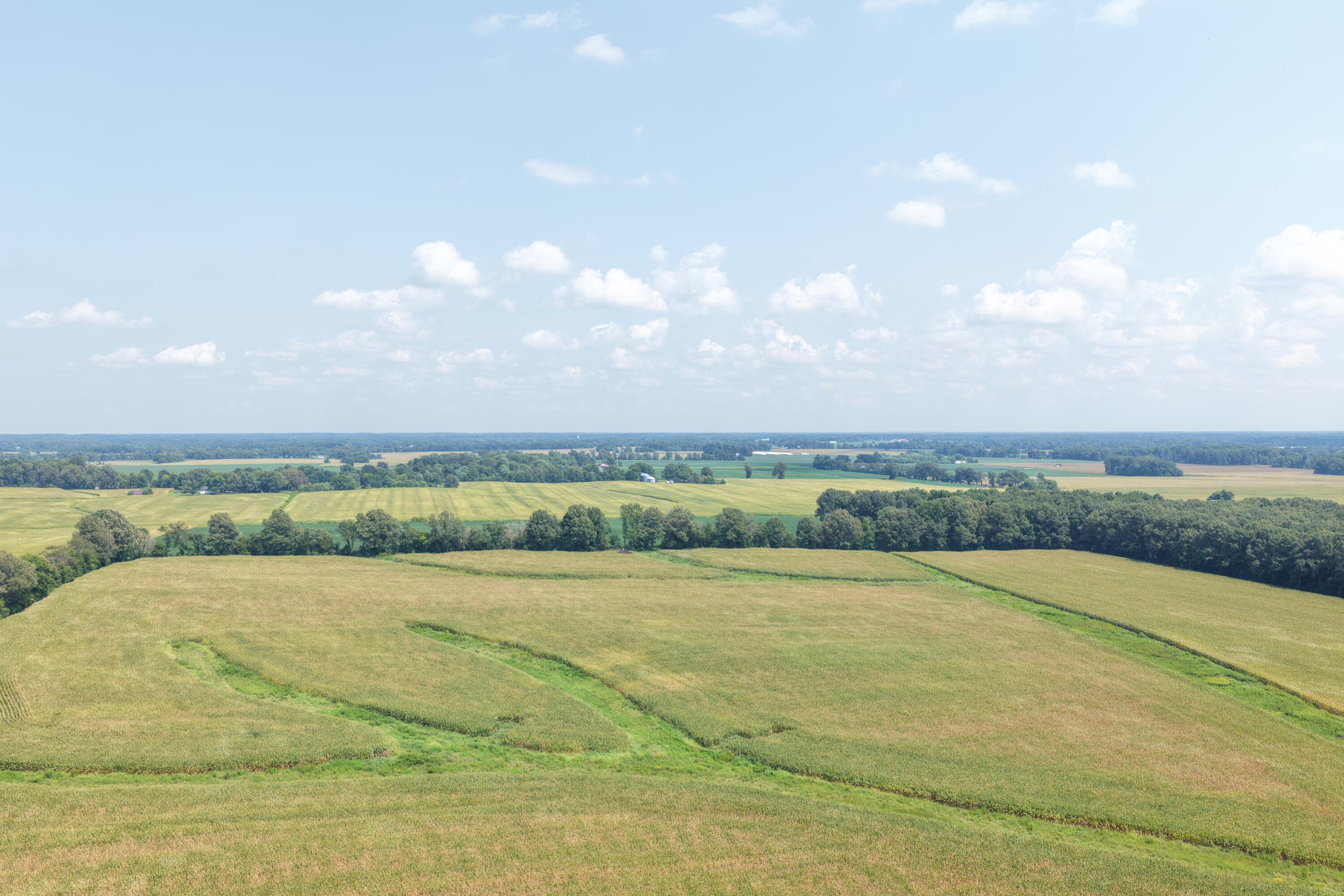 0 Beech Grove Road, Unit TRACT 7 Murray, KY 42071 - Photo 4 of 6 dji_fly_20260810_143406_0156_17863976655