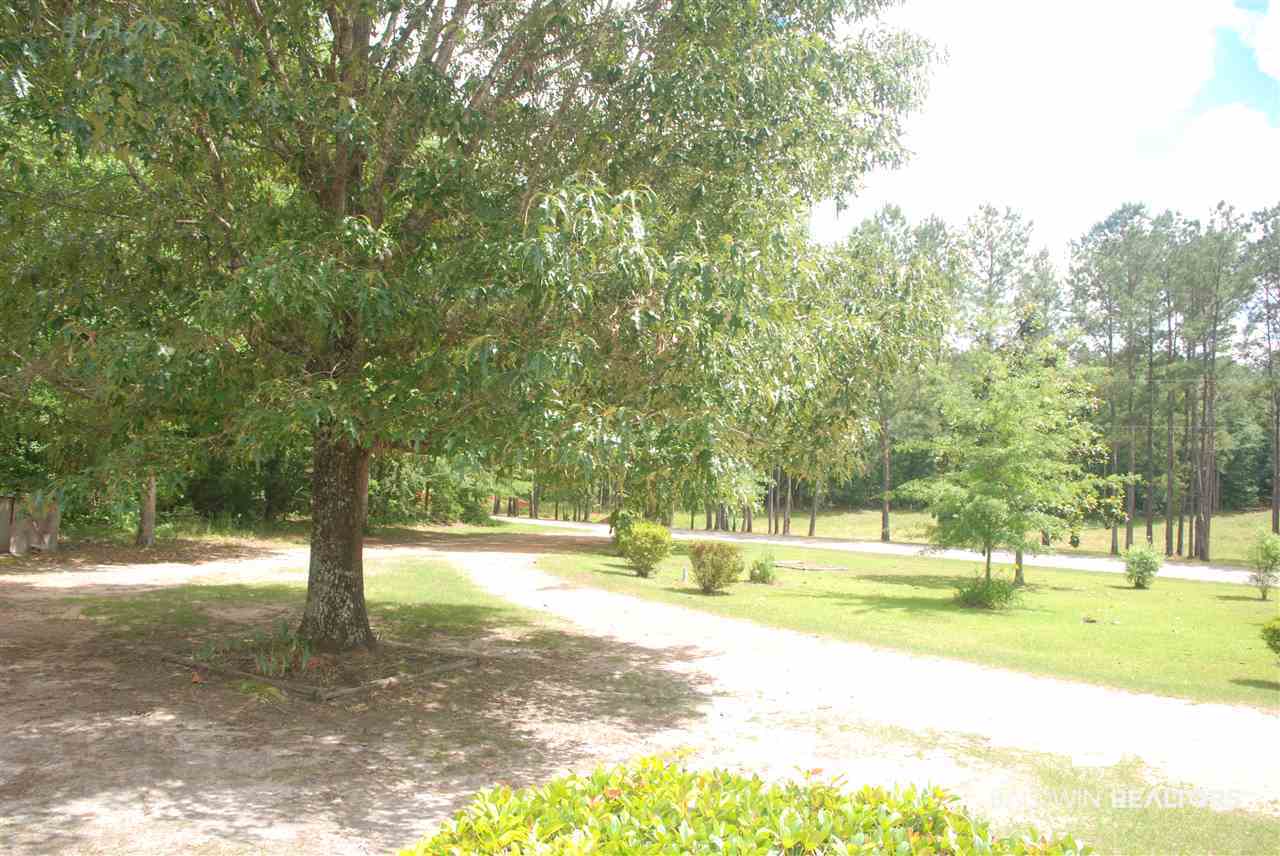 280 County Road 73 Repton, AL 36475 - Photo 24 of 32