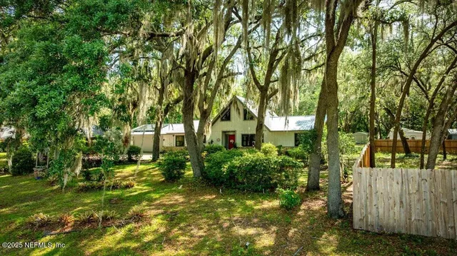 a small garden covered with tall trees