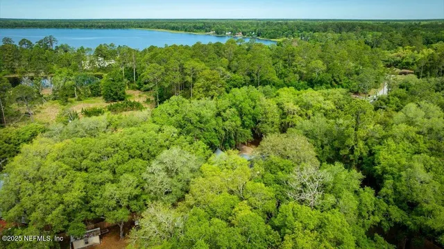 a view of a garden with a lake