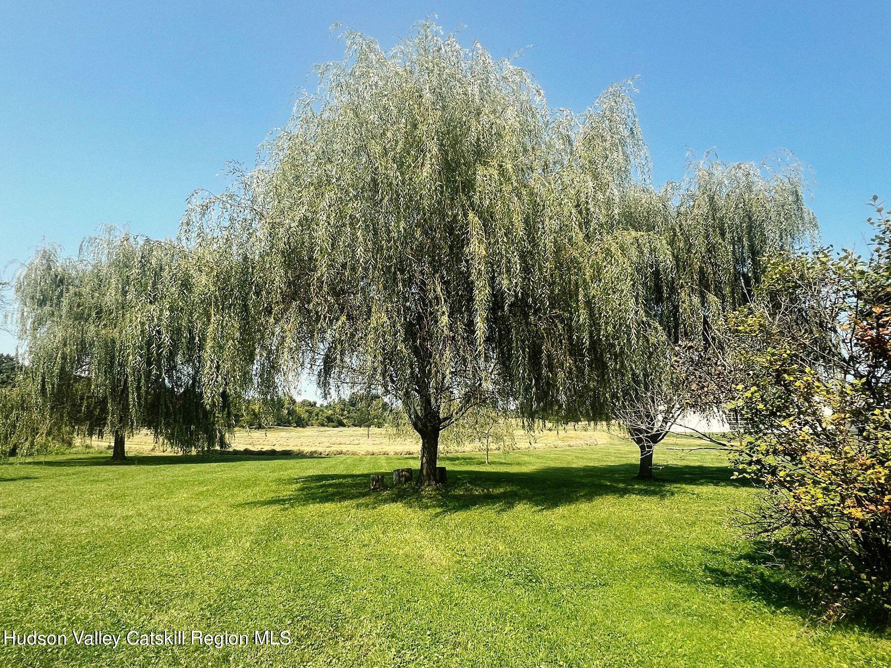 356 Co Rte 6 Germantown, NY 12526 - Photo 45 of 52 photo_online_044