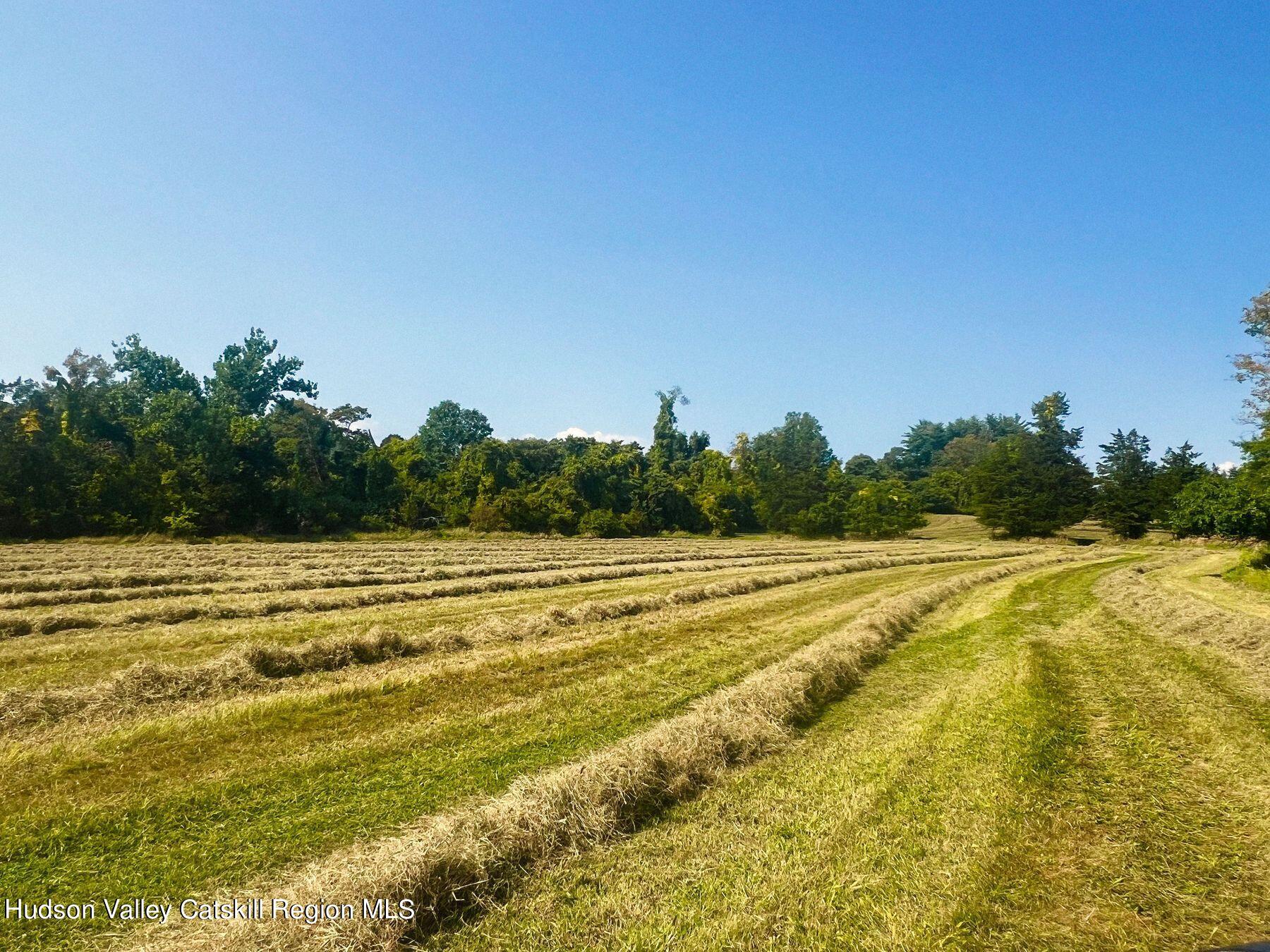 356 Co Rte 6 Germantown, NY 12526 - Photo 48 of 52 a view of a swimming pool and trees in the background
