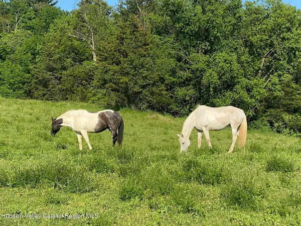 $13,500 | 356 Co Rte 6, Germantown, NY 12526