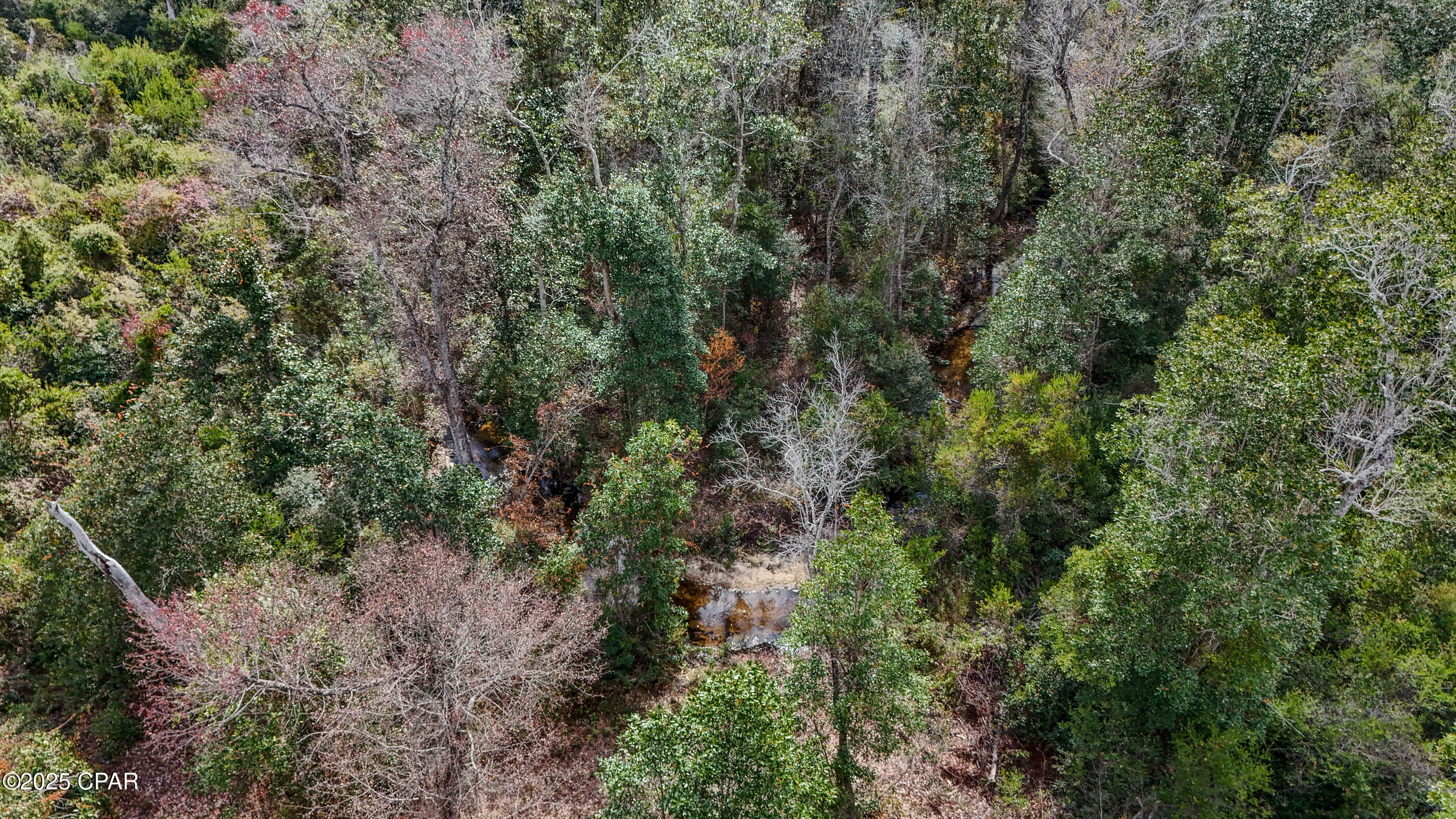 12299 Nona Wood Road Fountain, FL 32438 - Photo 17 of 21