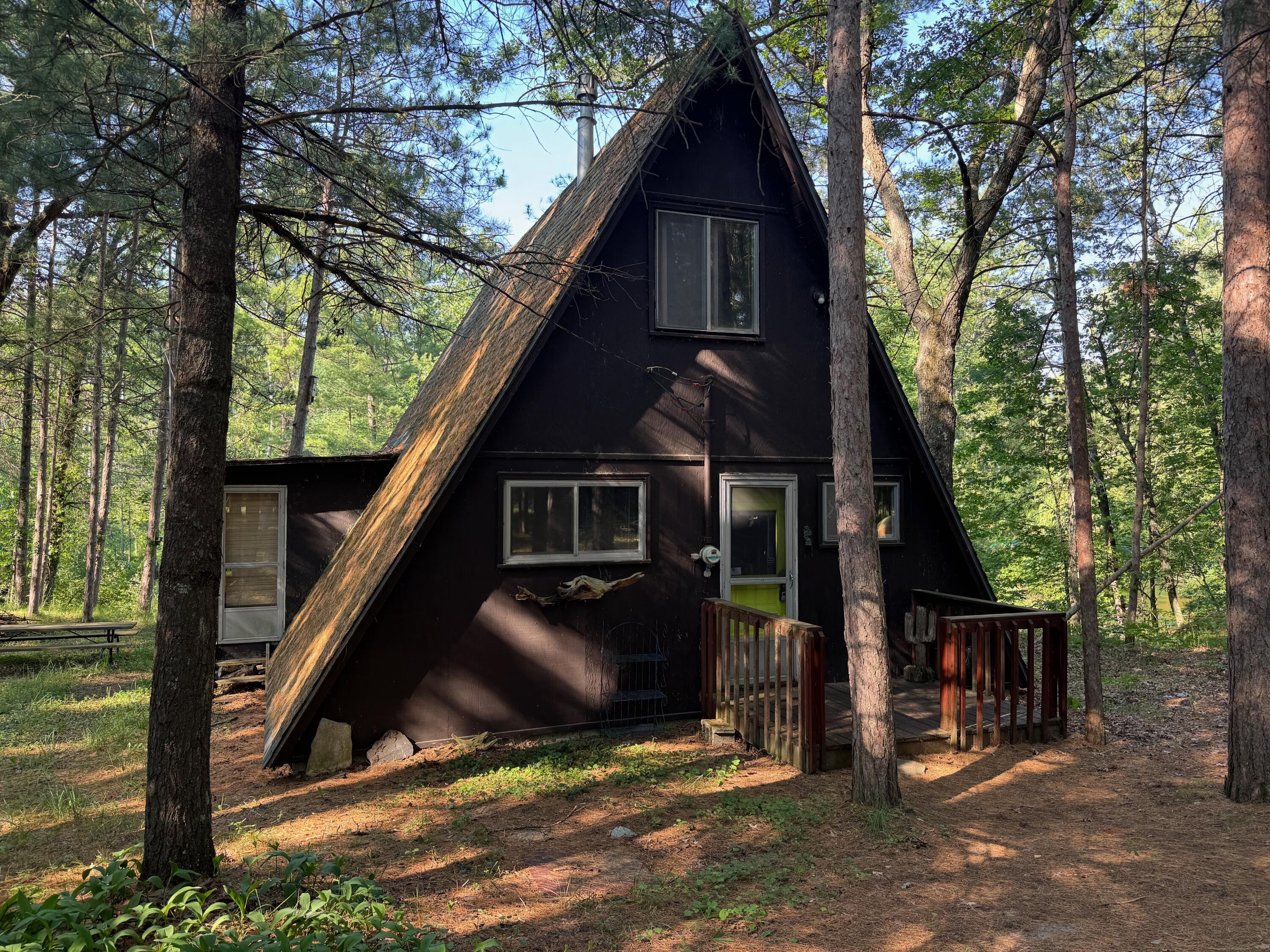 8160 West River Road Irons, MI 49644 - Photo 2 of 33 IMG_9818