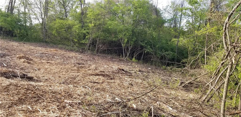 Lot 8 Old Clairton Road Clairton, PA 15025 - Photo 11 of 12 a view of a forest with trees in the background