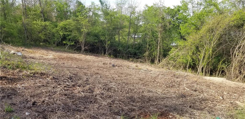 Lot 8 Old Clairton Road Clairton, PA 15025 - Photo 8 of 12 a view of a forest with trees in the background