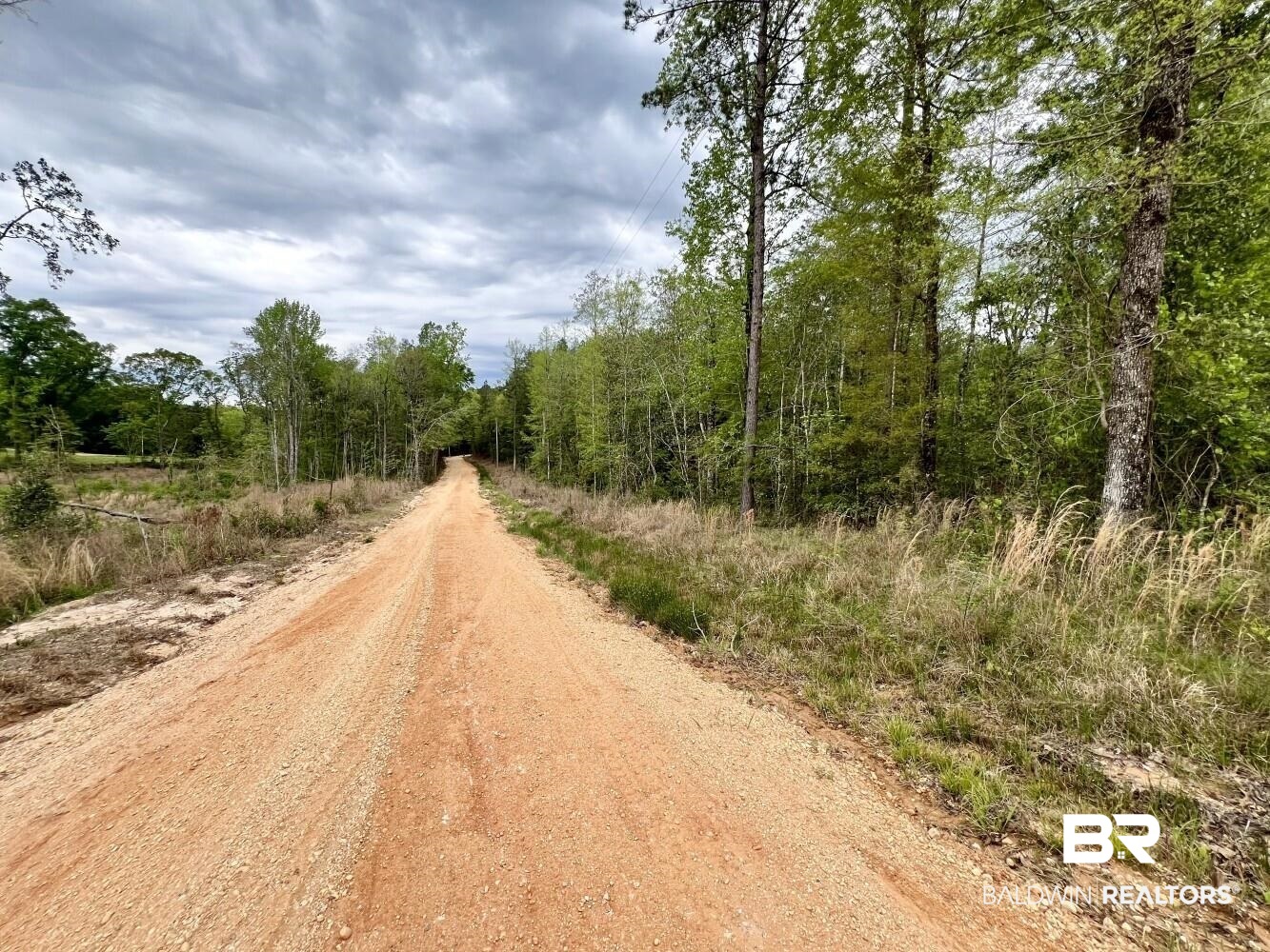 0 Pine Street St. Stephens, AL 36569 - Photo 4 of 26