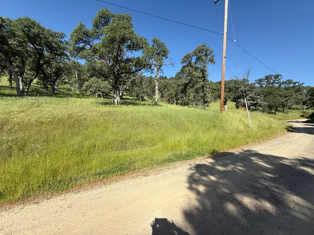 a view of a lake with a yard