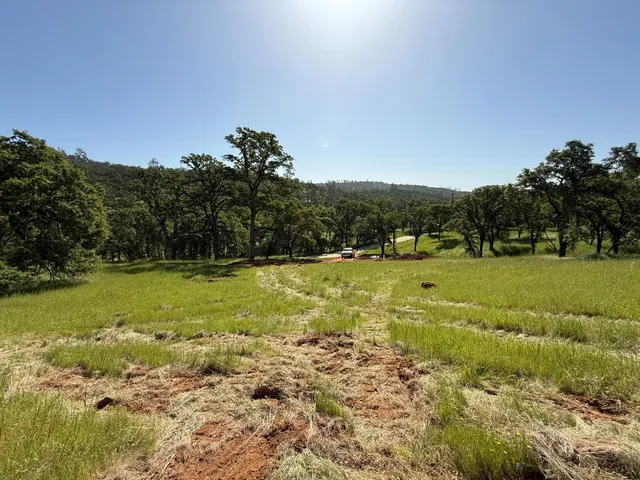 a view of yard with green space