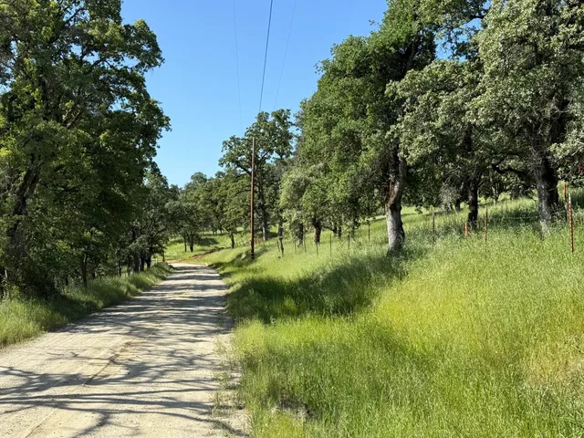 a view of a swimming pool with a yard
