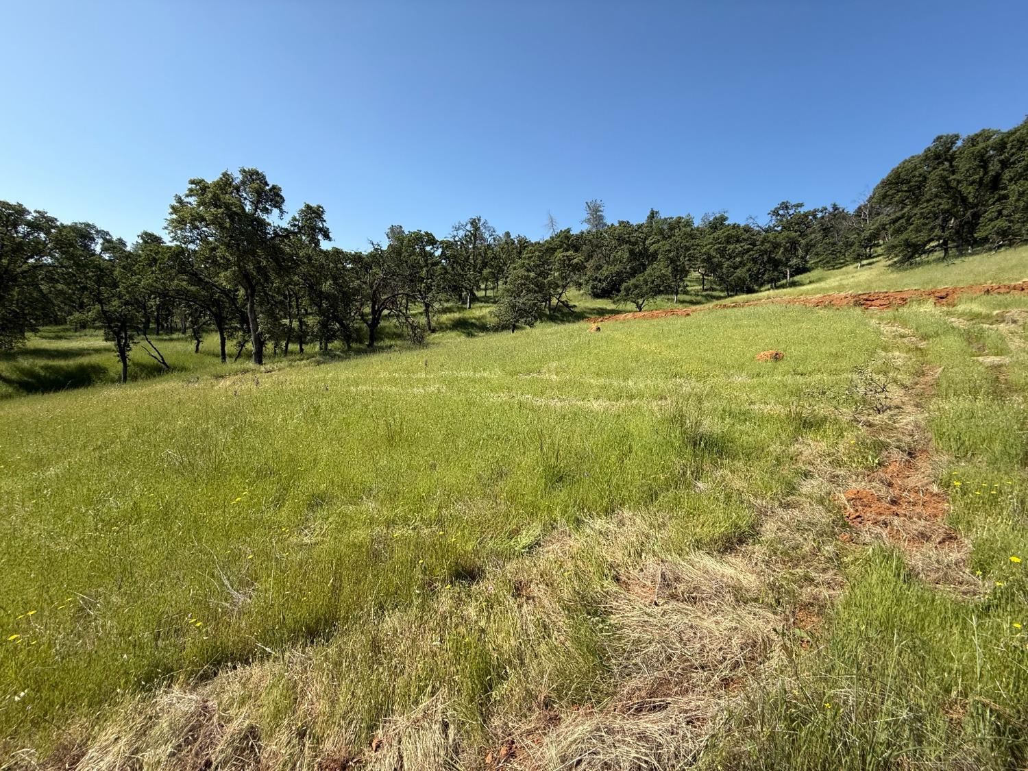 3 Boulder Way Smartsville, CA 95977 - Photo 70 of 91