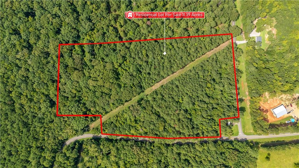 0 Napier Mill Road Southwest Eatonton, GA 31024 - Photo 3 of 10 a view of a bunch of flowers