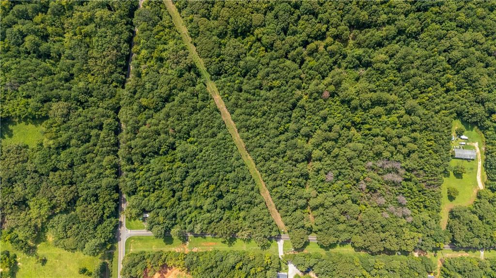 0 Napier Mill Road Southwest Eatonton, GA 31024 - Photo 4 of 10 a view of a lush green forest