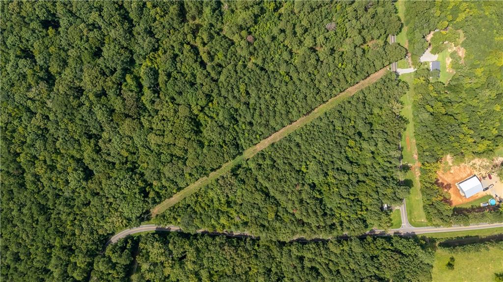 0 Napier Mill Road Southwest Eatonton, GA 31024 - Photo 8 of 10