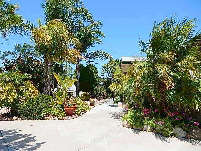 4559 Rolfe Road San Diego, CA 92117 - Photo 2 of 25 Front yard